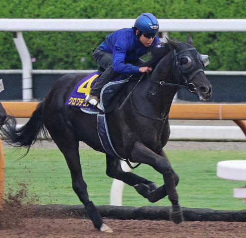 【日本ダービー】クロワデュノール　ロングスパート勝負だ!　地力比べの馬場&展開なら