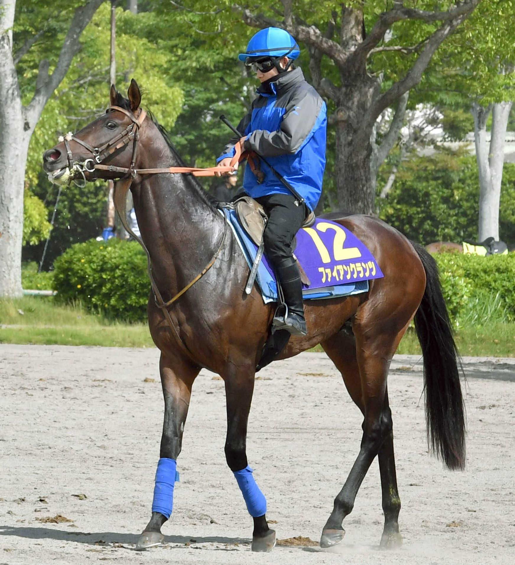 【日本ダービー】佐々木　デビュー４年目で「別格」夢舞台初騎乗　Ｖなら戦後最年少！ファイアンクランツと頂点目指す
