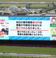 ３１日東京９Rが雷で取りやめ（カメラ・浅子　祐貴）