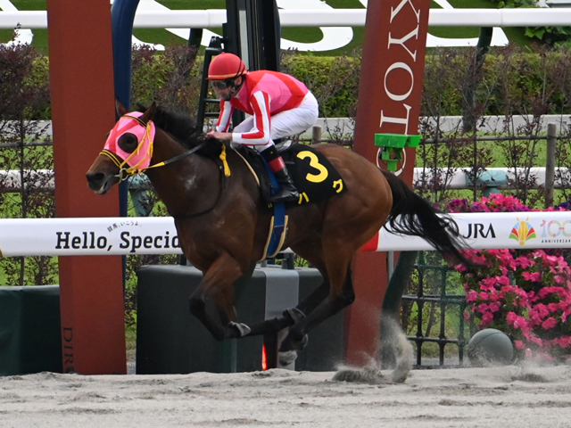 【鳳雛S結果】5番人気ハグが好位から抜け出し快勝