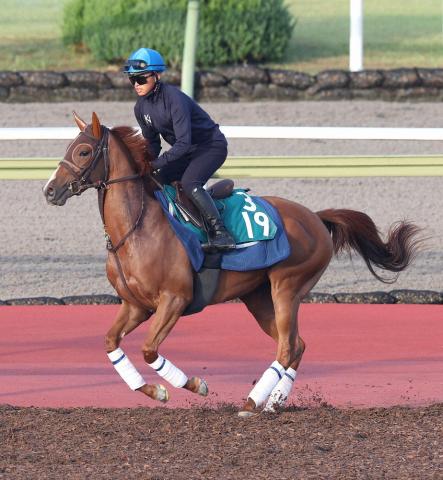 【葵S】15番人気アブキールベイ重賞初制覇　岩田望来は25歳バースデー勝利