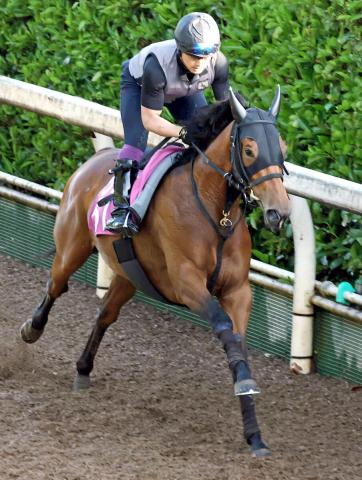 【葵S】今村聖奈騎手は約3年ぶりの重賞Vならず　ムイは12着