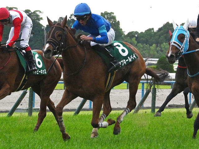 【葵S結果】15番人気アブキールベイが重賞初V 2着13番人気、3着8番人気で3連単189万3020円