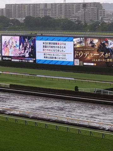 東京競馬9Rが雷雨で取りやめ　騎乗予定の原「めちゃくちゃ怖かった。こういう早めの判断ありがたい」