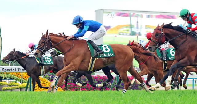 【葵S】大波乱3連単189万円超　ブービー15番人気のアブキールベイが来た　岩田望来騎手は25歳バースデーV