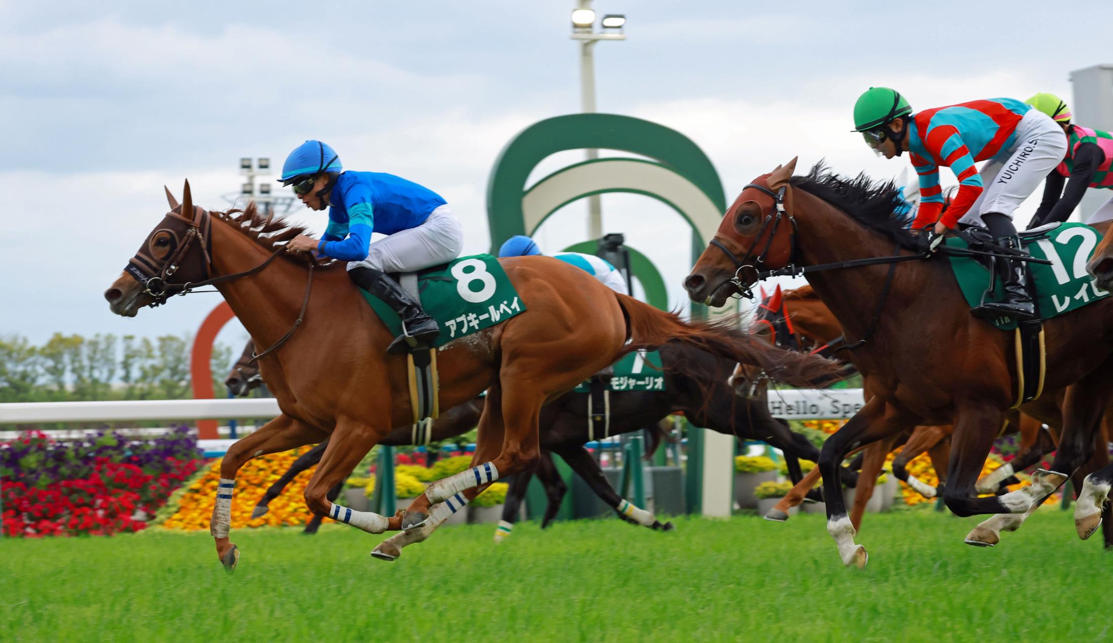 【葵Ｓ】１５番人気の超伏兵アブキールベイがＶで３連単１８９万超の大波乱　２５歳バースデーＶ岩田望「自信を持って乗りました」