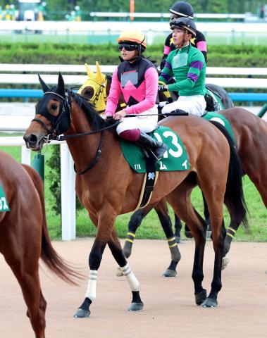 【葵S】今村聖奈騎手は約3年ぶりの重賞Vならず「3コーナーから何回もぶつけられて…」ムイは12着