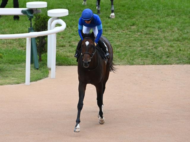 【桃山Sレース後コメント】ソーニーイシュー千田輝彦調教師ら