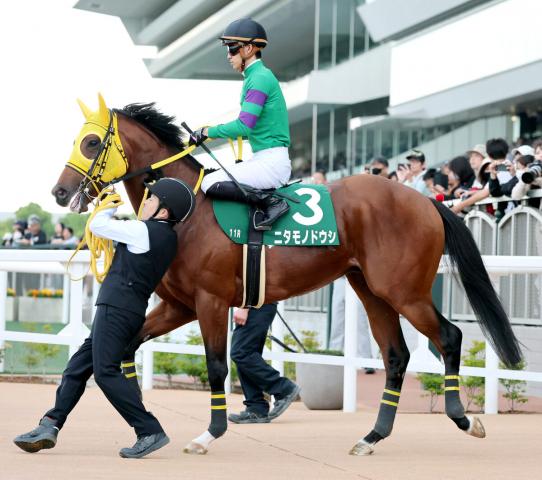 【葵S】4番人気のニタモノドウシは追い込み不発で11着　菅原明良騎手「折り合いは何とか我慢してくれた」