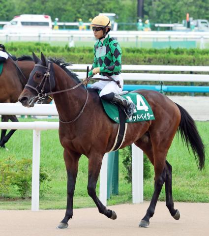 【葵S】2番人気のポッドベイダーは直線で伸びず14着　荻野極騎手「こんなものじゃないと思います」