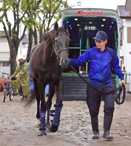【日本ダービー】クロワデュノールは5回目の輸送も難なくクリア　陣営「前走より雰囲気はいい」