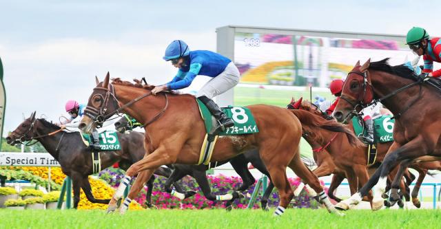 【葵S】13番人気のクラスペディアがゴール寸前まで粘って奮闘2着　小崎綾也騎手「スピードを解放しました」