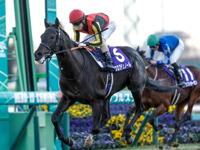 【日本ダービー前日オッズ】クロワデュノールが2.5倍で1番人気