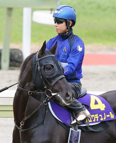 【日本ダービー】皐月賞は2着でも…　クロワデュノールがどの馬券でも中心に売れる「1強」状態　前日最終オッズ