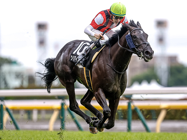 【葉山特別レース後コメント】ウインアイオライト横山和生騎手ら