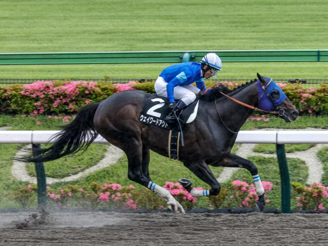 【アハルテケSレース後コメント】ウェイワードアクト戸崎圭太騎手ら