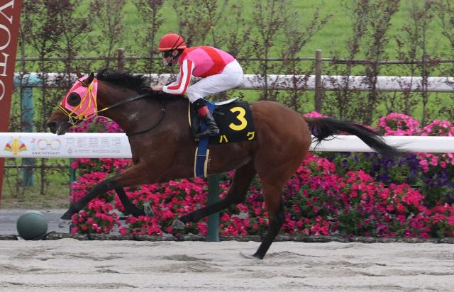 【京都9R・鳳雛S】ハグ快勝　変わり身見せた!　シュタルケ「最後までしっかり伸びてくれた」