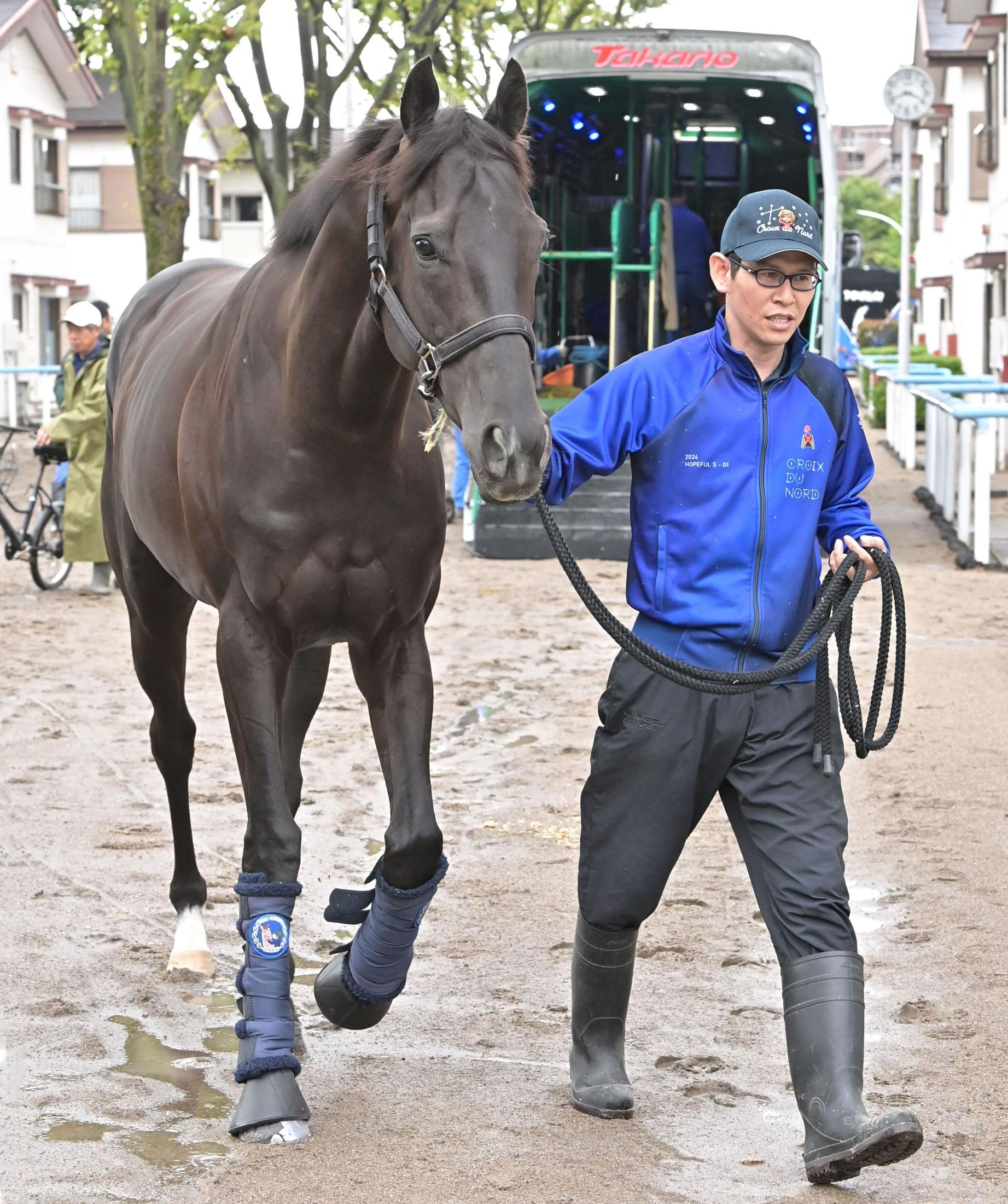【日本ダービー】クロワデュノール　東京変わりもプラス　間宮助手「イレ込んだりもなく、いつも通り」
