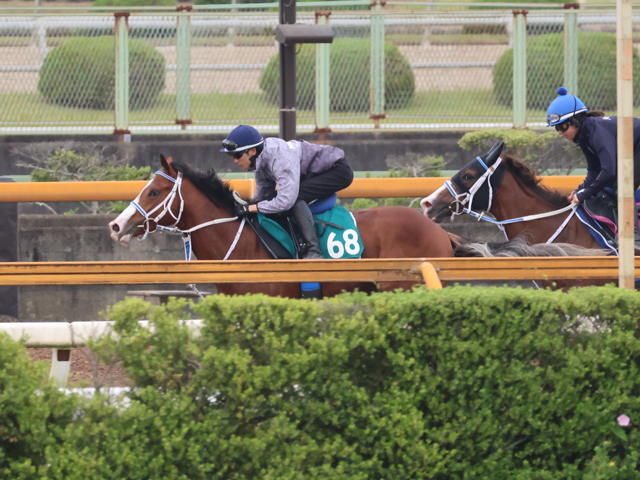 母はオープン含めJRA・7勝 シーミハットクが日曜東京で初陣/関西馬メイクデビュー情報
