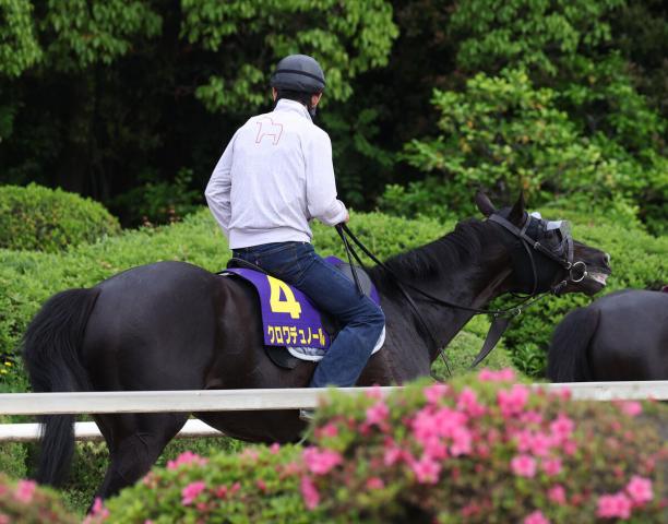 馬トク外厩情報からの推奨馬…日本ダービー・G1