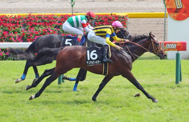 【日本ダービー】東京競馬場の芝コースは8R終了後「稍重」→「良」に変更