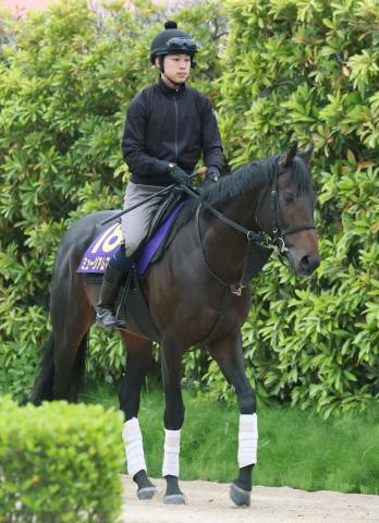 【日本ダービー】皐月賞馬ミュージアムマイルは直線失速の6着　テン乗りレーン騎手2冠へ導けず