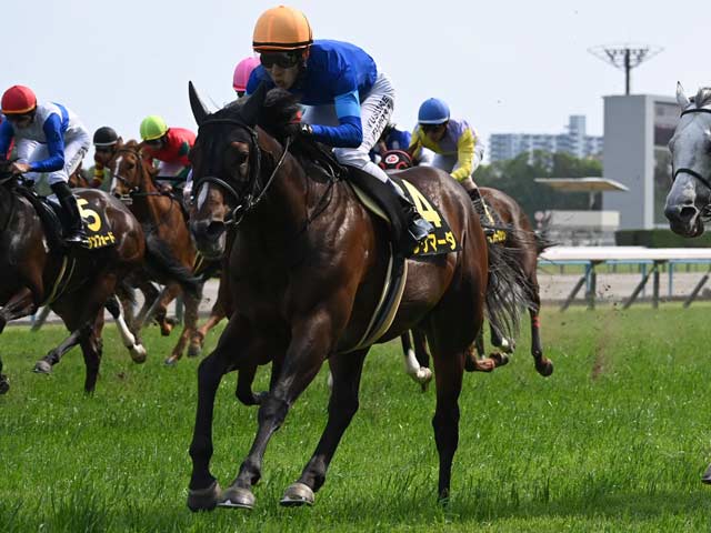 【安土城S結果】6番人気ラケマーダが差し切り勝ち