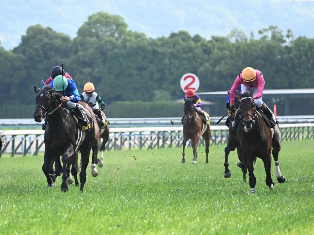 【白百合S結果】ライトトラックが接戦を制し無傷の2連勝