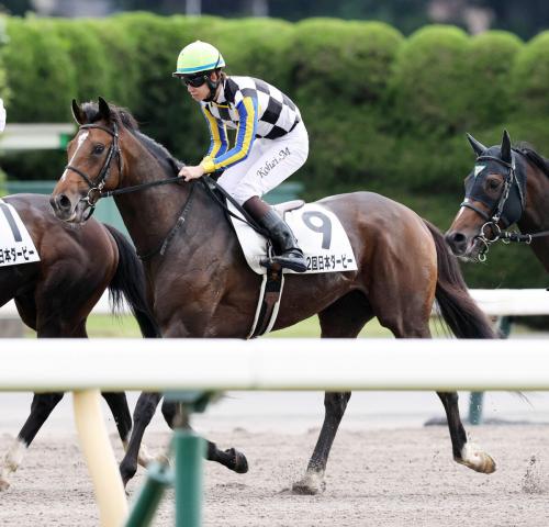 【日本ダービー】7番人気の堅実派ジョバンニは8着　松山弘平騎手「最後で体が浮いた走りに…」