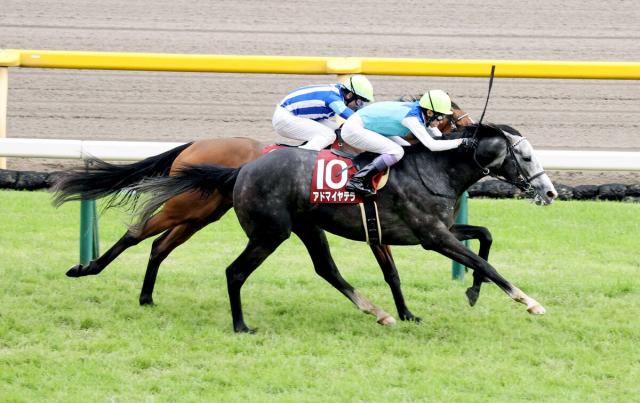 【目黒記念】6番人気ホーエリート2着で戸崎圭太騎手「最後までよく伸びた」　3着マイネルクリソーラの横山武史騎手「着順だけが残念」