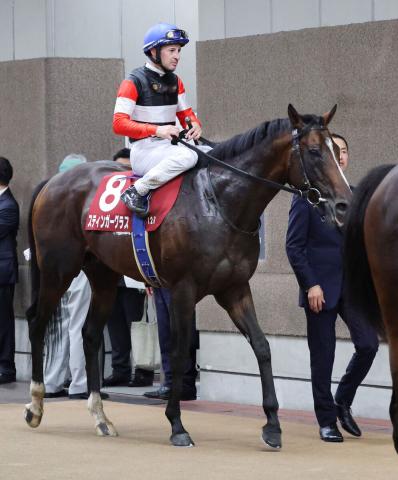 【目黒記念】11着に惨敗した2番人気のスティンガーグラスにルメール騎手は「分かりません…」
