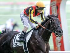 日本ダービーを制したクロワデュノール(c)netkeiba、撮影：下野雄規