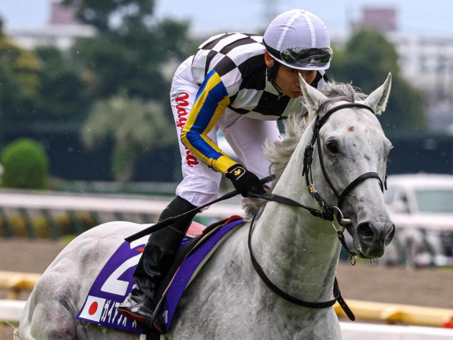 【安田記念】吉村誠之助騎手がGI初制覇なるか ガイアフォースと初タッグで参戦