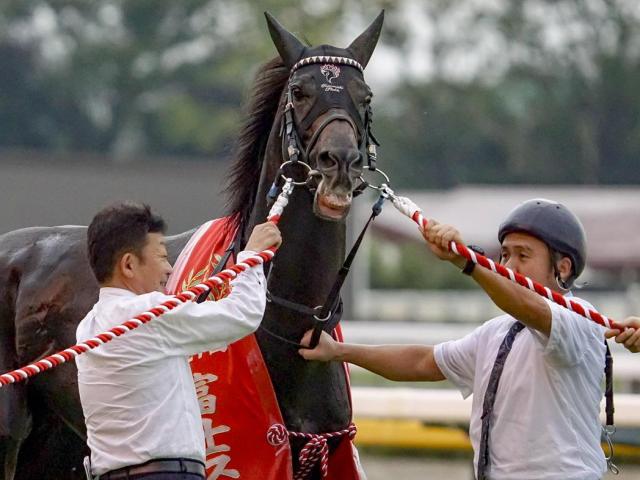 【安田記念】武豊騎手が16年ぶり4勝目へ 富士S覇者のジュンブロッサムで参戦
