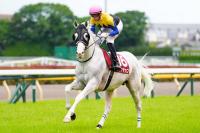 目黒記念、返し馬に臨むディー騎乗のハヤヤッコ