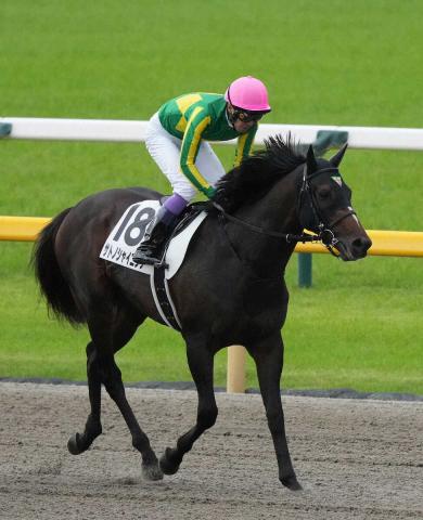 【日本ダービー】サトノシャイニング　大外から先行も4着　武豊「頑張りました」