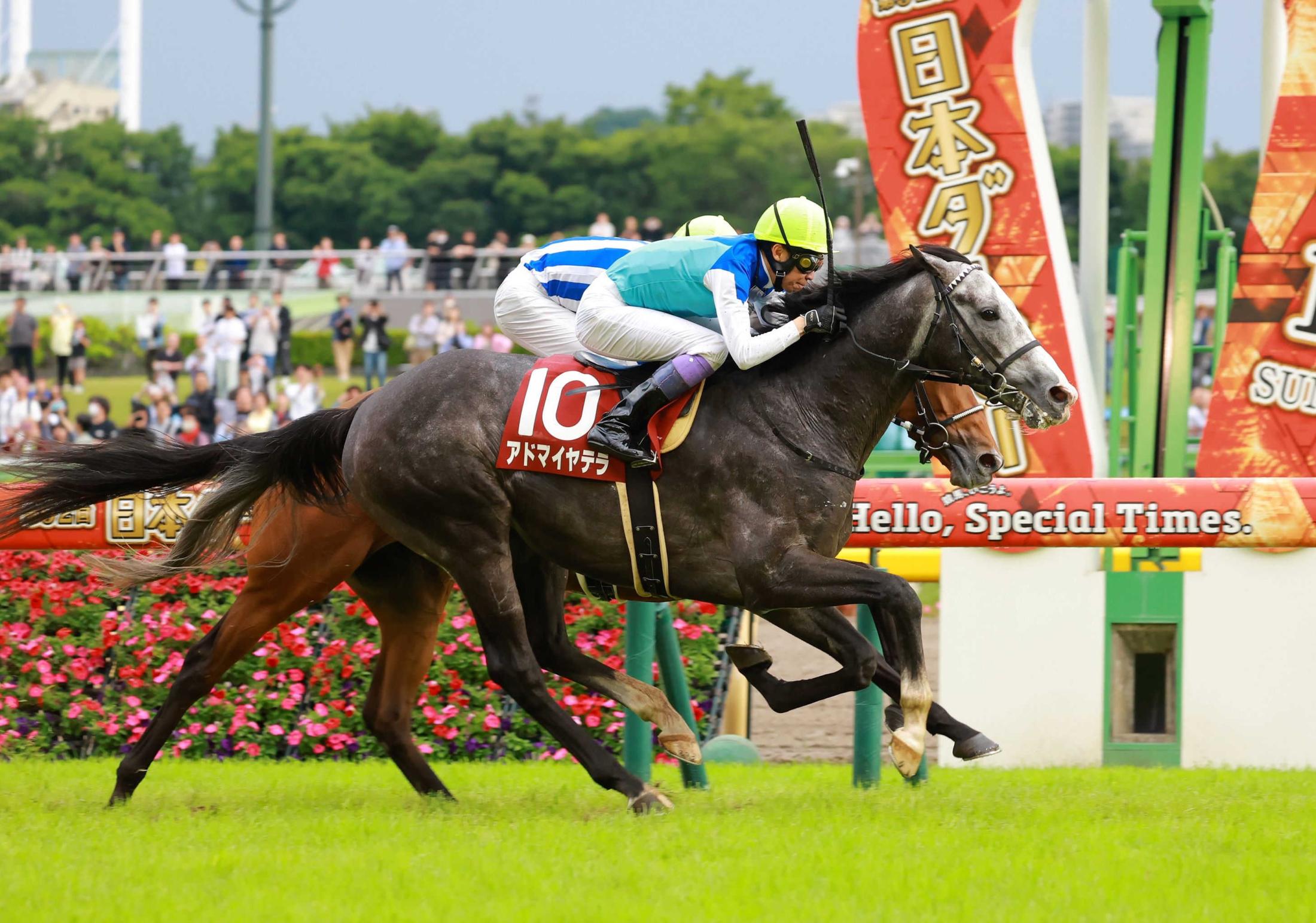 【目黒記念】アドマイヤテラ　待望重賞初Ｖ　武豊は３９年連続重賞制覇「この勝負服での重賞勝利は久しぶりなのでうれしい」