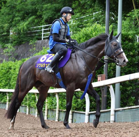 【安田記念】香港最強馬を撃破したソウルラッシュが主役も付け入る隙は十分　魅力的な馬も多くエントリー