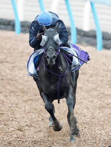 【安田記念・イシゴーの特注馬】マイル戦で底を見せないトロヴァトーレ　鹿戸調教師「いい根性を持っている」