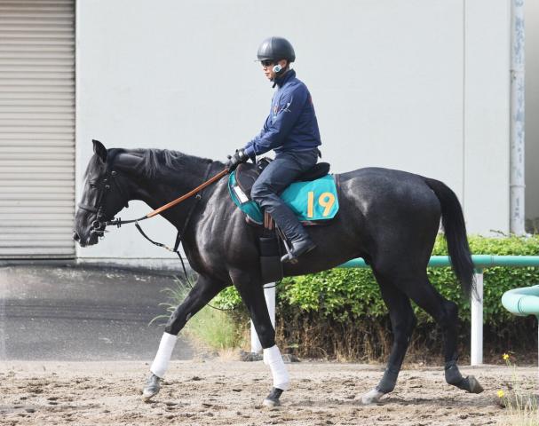 【POG・坂本の特注馬】2歳世代の先陣を切る素質馬ゾロアストロ　6・7東京デビューへ陣営は期待たっぷり