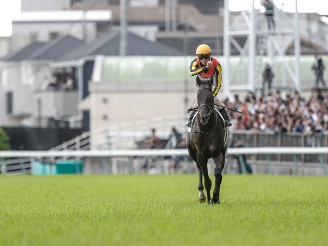 【日本ダービー】売上は315億4498万1600円で昨年より約17.3億円増加