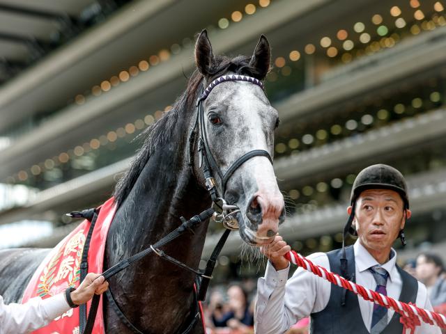【目黒記念】売上は68億4268万6000円で昨年より約10.4億円増加