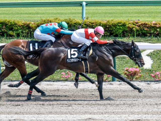 【薫風Sレース後コメント】ダノンザボルケーノ横山典弘騎手ら