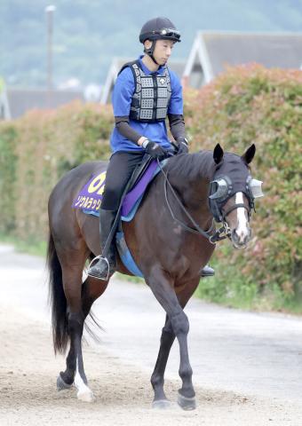 【安田記念】帰国初戦のソウルラッシュは抜かりなく万全　3度目のG1勝利へ陣営「しっかり仕上がってきた」