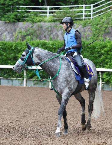 【安田記念】マッドクールはマイルへの距離延長で復権へ　池添調教師「阪神Cの内容からして距離はもっていい」