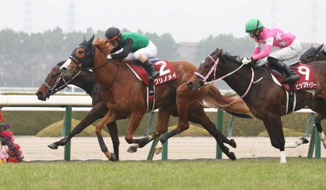 【川崎競馬　関東オークス】選定馬発表　チューリップ賞勝ちクリノメイ参戦か　出走なら初のダート戦
