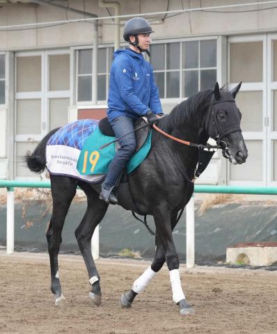 【東京新馬戦】ゾロアストロ　持続力武器　09年独オークス馬を祖母に持つ良血