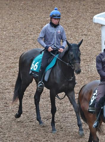 【阪神新馬戦】アスクエジンバラ　福永師が高評価「スピードがあって初戦から動けるタイプ」