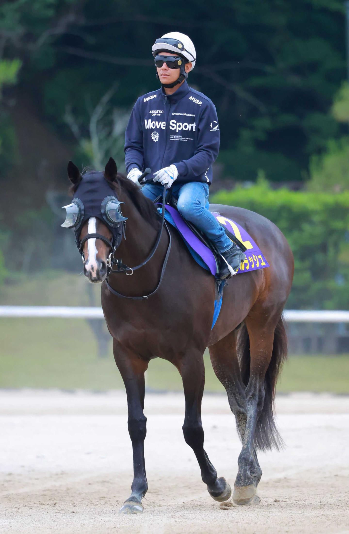 【安田記念】ソウルラッシュ　主役譲らない　世界最強馬を倒した末脚披露　橋口助手「磨きがかかっている」