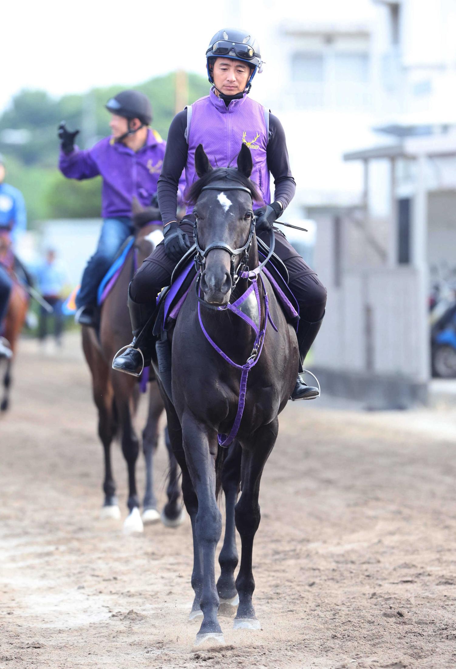 【安田記念】トロヴァトーレ　得意距離＆連勝の勢いでマイル王へ　唯一全項目をクリア！
